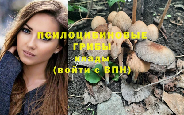 бошки Богородск