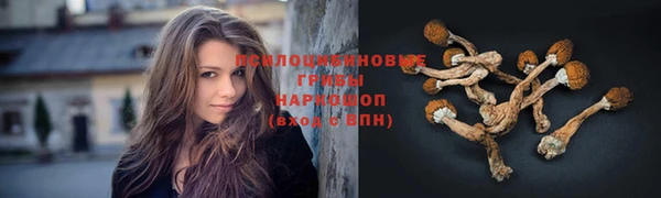 каннабис Богданович