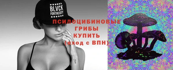 бошки Богородск