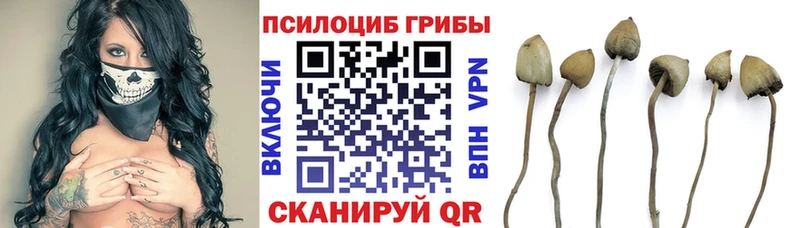 Галлюциногенные грибы Magic Shrooms что такое ОМГ ОМГ ТОР Сланцы